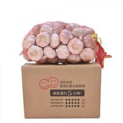 大蒜头批发干蒜紫皮大蒜头干蒜特大新鲜大蒜批发价包邮图5