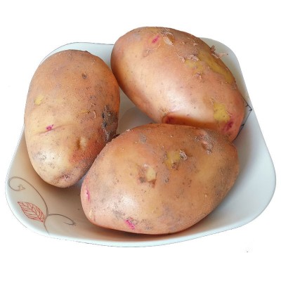 土豆新鲜红皮黄心土豆10斤包邮现挖云南农家自种大洋芋新鲜马铃薯图5