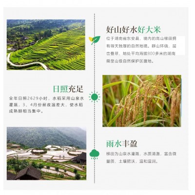 2022湖南高山梯田香米生态闭环古法种植营养健康 产地直供 5KG图2