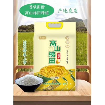 2022湖南高山梯田香米生态闭环古法种植营养健康 产地直供 5KG