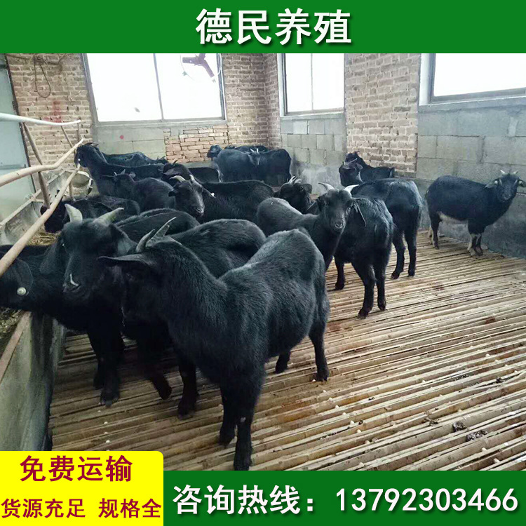 图片20160429095949