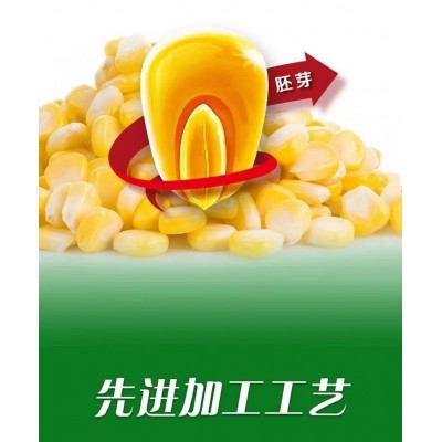 批发压榨玉米油 家用食物烹饪油植物玉米调和油压榨食用玉米油图2
