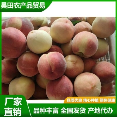 爆甜水蜜桃新鲜现摘毛桃应季脆甜桃子水果整箱全国批发图5