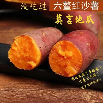 红薯福建六鳌沙地红心蜜薯当季新鲜现挖香甜软糯红番薯一件代发图3