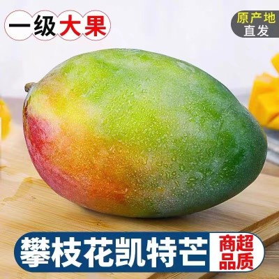 四川攀枝花凯特芒代发应季时令大青芒果大脸芒新鲜水果自家果园现图2