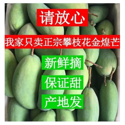 正宗四川攀枝花金煌芒果大青芒果水仙芒新鲜现摘当季自家果园基地图5