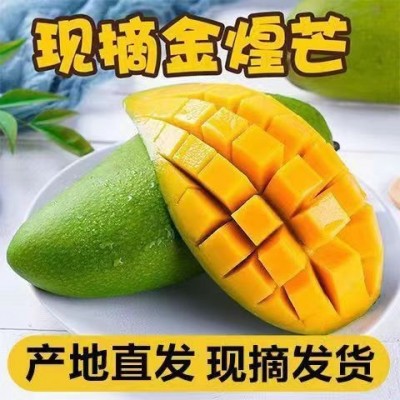 正宗四川攀枝花金煌芒果大青芒果水仙芒新鲜现摘当季自家果园基地图2