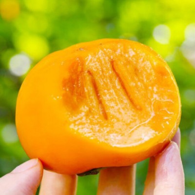 正宗广西巧克力甜脆柿子恭城月柿新鲜水果批发硬火晶脆甜大柿子图4