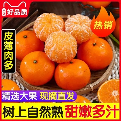 正宗广西沃柑9斤新鲜水果当季整箱一级沃柑砂糖皮薄甜柑橘桔子