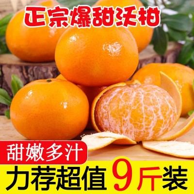正宗广西沃柑9斤新鲜水果当季整箱一级沃柑砂糖皮薄甜柑橘桔子图5