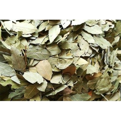 产地货源香叶500g 月桂叶 调味品 火锅底料卤水泡菜腌制料散装干图2