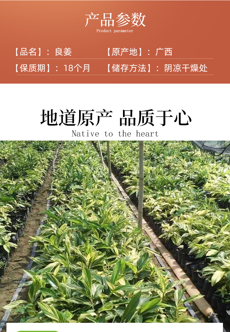 详情页3_02.jpg