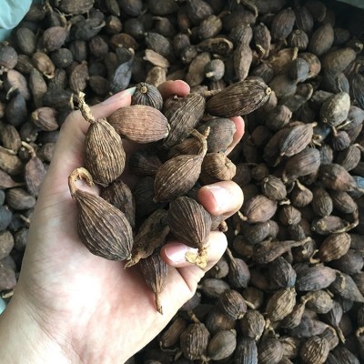 云南草果500g 产地直供川菜调味料香叶大料草果散装火锅底料批图3
