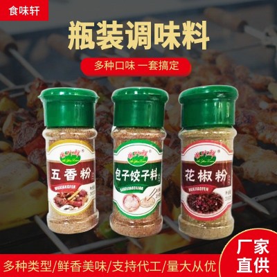 源头厂家瓶装调味品孜然粉辣椒粉地摊小吃烧烤料家用商用调味料图2
