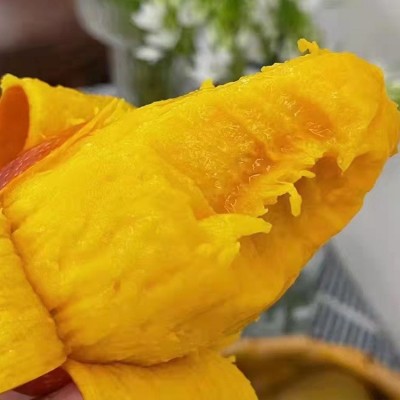 海南树上熟贵妃芒果自然熟红金龙七彩芒新鲜水果5斤包邮图4