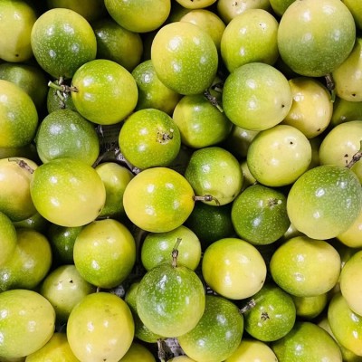 黄金百香果海南钦蜜9号一级芭乐西番莲鸡蛋果图5