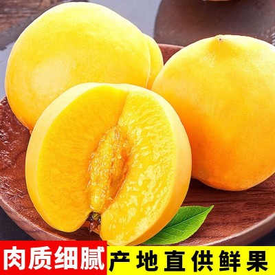 锦绣黄桃现摘现发应季水果毛桃黄桃水蜜桃冬桃果园直发图5