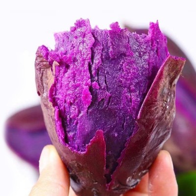 沙地紫薯紫罗兰红薯新鲜蔬菜地瓜番薯粉糯香甜图2