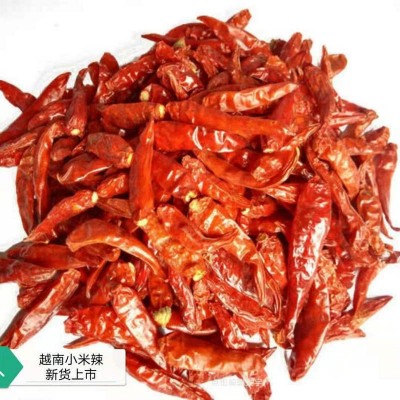 越南小米椒干辣椒朝天椒现货批发散装越南小米椒干货巨辣火锅调料图5