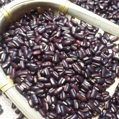 熟赤小豆低温烘焙赤现磨豆浆原料磨粉五谷粉代餐粉厂家直销图2