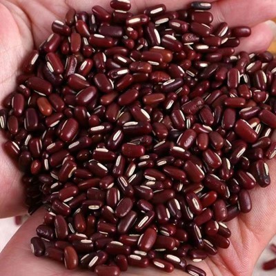 熟赤小豆低温烘焙赤现磨豆浆原料磨粉五谷粉代餐粉厂家直销图4