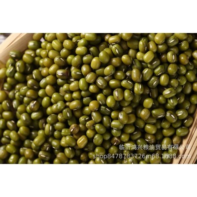 五谷杂粮新绿豆明绿豆批发绿豆绿豆粥汤原料散装25kg图2
