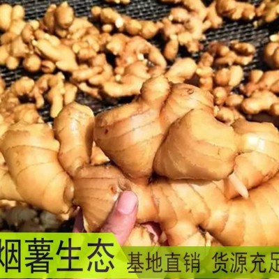 新鲜大黄姜 生姜包邮 农家种植 抗病能力强 产量高图5