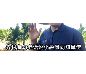 小暑的农业谚语 #农业人 #农业科技 #服务三农