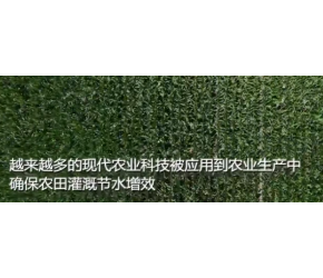 科技助力新疆塔里木河流域农业灌溉
