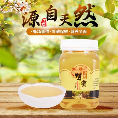 精亿厂家批发东北黑蜂椴树蜜500克瓶装低价现货农家自产蜂蜜代发
