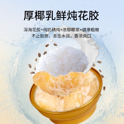 即食牛奶花胶 厚椰乳鲜炖花胶胶原蛋白营养速食代餐鱼胶鱼肚批发图2