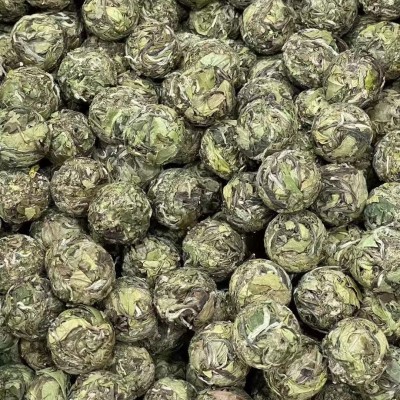 2022年福鼎的白茶春茶白牡丹茶球龙珠毫香花香茶叶厂家批发图2