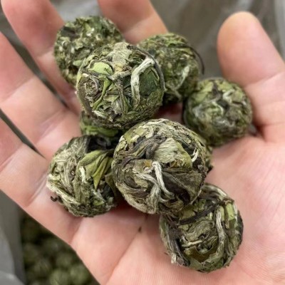 2022年福鼎的白茶春茶白牡丹茶球龙珠毫香花香茶叶厂家批发