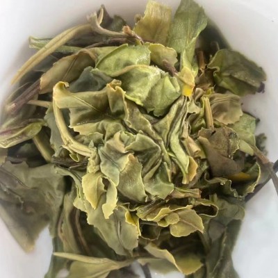 2022年福鼎的白茶春茶白牡丹茶球龙珠毫香花香茶叶厂家批发图3