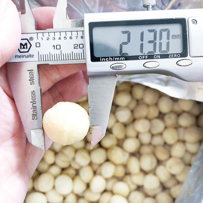 澳洲夏威夷果仁原味烘焙生料云南干果大颗粒11.34kg坚果源头直销图4