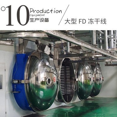 厂家批发10斤箱装冻干草莓干草莓脆FD真空干燥水果干散装批发原料图4