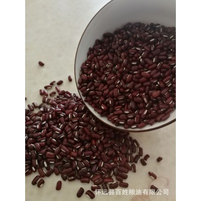 工厂定制加工赤小豆批发 五谷杂粮红饭豆 长赤豆 熟红豆图2