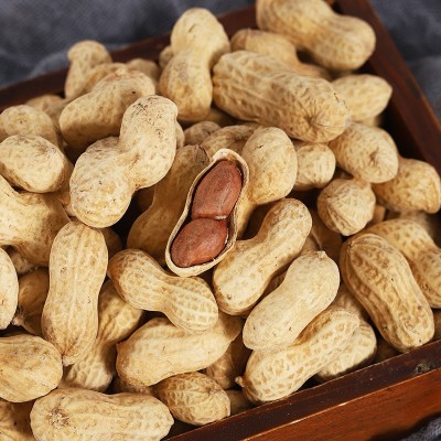 陈皮多味花生带壳休闲零食多味花生下酒菜怀旧10斤整箱批发伊食佳图2