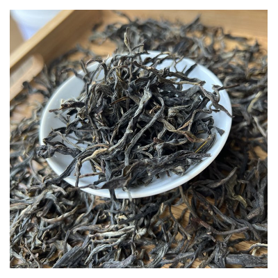 高山古树茶叶采摘批发 天然普洱茶现摘直供农场