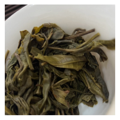 高山古树茶叶采摘批发 天然普洱茶现摘直供农场图3