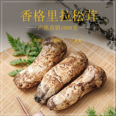 【顺丰空运次日到达】2023云南香格里松茸 现采现发未开伞松茸菌图2