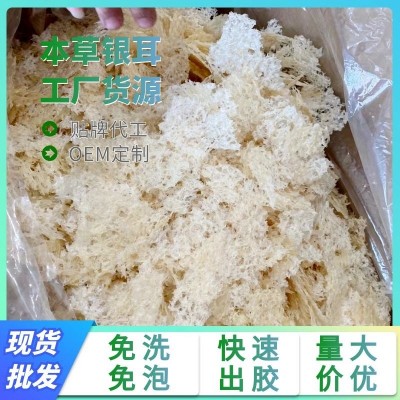 本草种植银耳古田高山干货银耳 不添加免洗白木耳银耳羹冲泡即食
