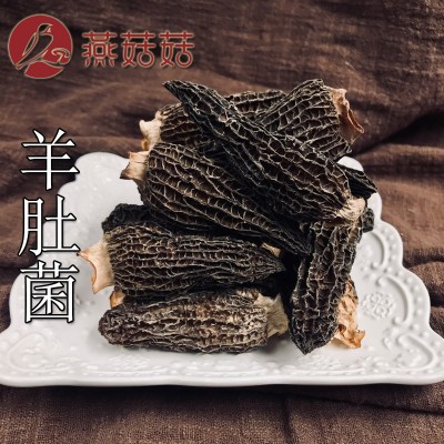 新货羊肚菌干货批发 厂地销售直发量大从优 剪柄菌盖长6-8CM 500g