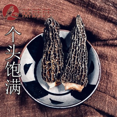 新货羊肚菌干货批发 厂地销售直发量大从优 剪柄菌盖长6-8CM 500g图2