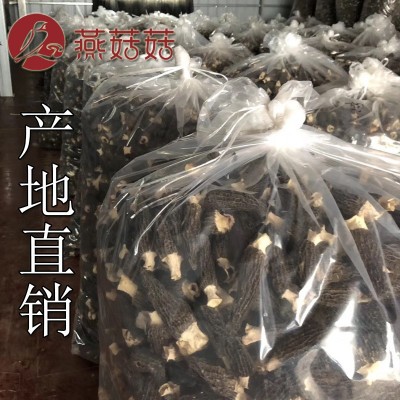 新货羊肚菌干货批发 厂地销售直发量大从优 剪柄菌盖长6-8CM 500g图5