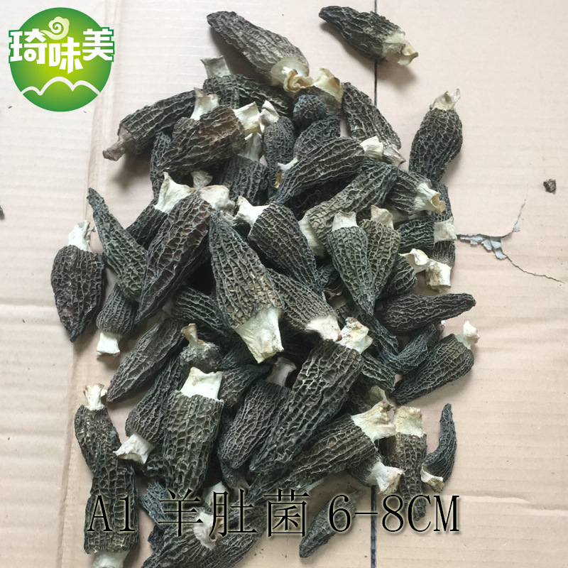 A1羊肚菌-1