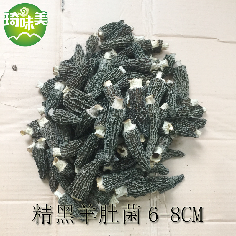 精黑羊肚菌-1