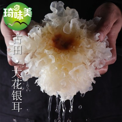古田银耳 银耳 糯耳 雪耳 特产 干货 非丑耳 白木耳超市店铺图3