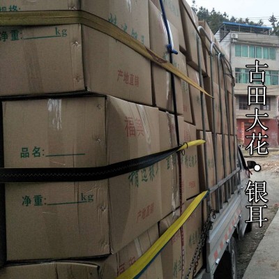 古田银耳 银耳 糯耳 雪耳 特产 干货 非丑耳 白木耳超市店铺图4