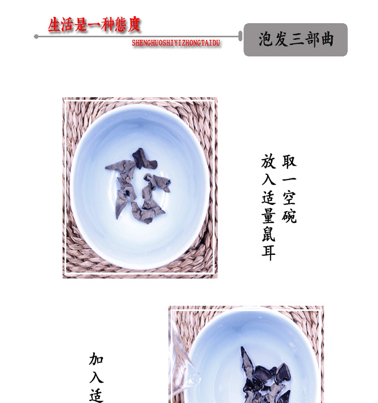 黑木耳PSD_08
